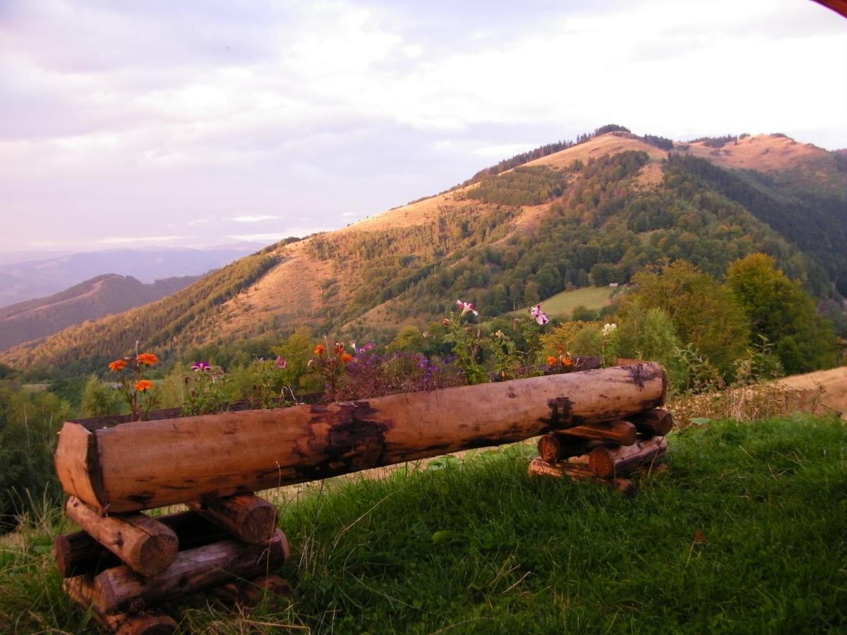 Pensiunea Bujor De Munte Petrosani Luaran gambar